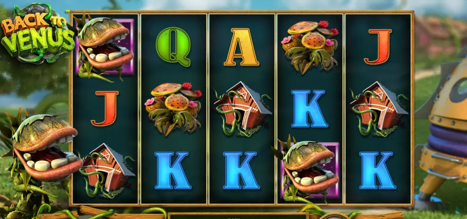 Les 5 rouleaux de Back to Venus : lettres Q, A, J et K, plantes à grande bouche dentée, cabanes rouges couvertes de lianes et bouquets de champignons