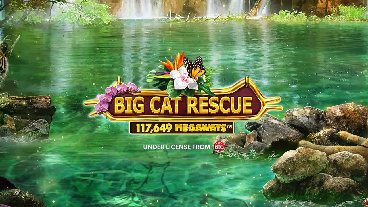 Visuel officiel de Big Cat Rescue Megaways (Red Tiger)