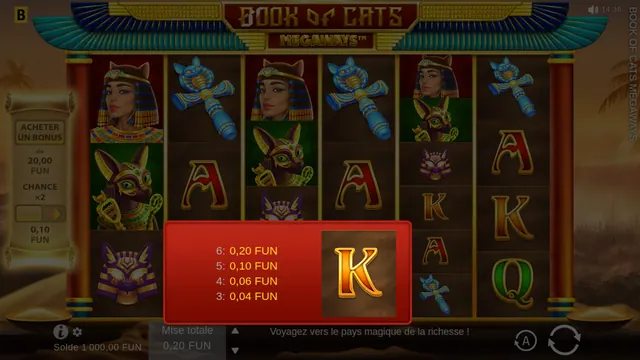 Book of Cats MEGAWAYS : écran de jeu n°2