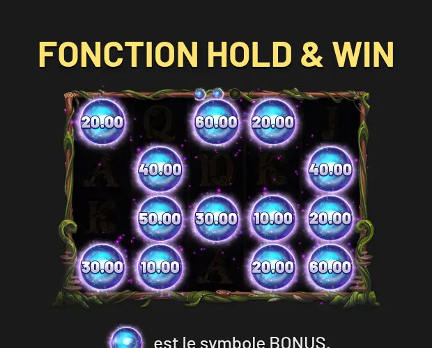 Illustration de la FONCTION HOLD & WIN dans l’aide d’Enchanted: Forest of Fortune : orbes bleus lumineux portant des valeurs de 10.00 à 60.00 sur une grille encadrée de lianes