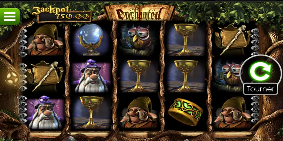 La grille de 5 rouleaux et 3 rangées d’Enchanted : magicien à la barbe blanche et au chapeau violet, personnage au bonnet vert, hibou, boule de cristal, coupes dorées, sacoche avec un bâton et anneau vert et or