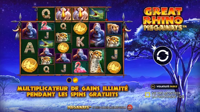 Great Rhino Megaways : écran de jeu n°2