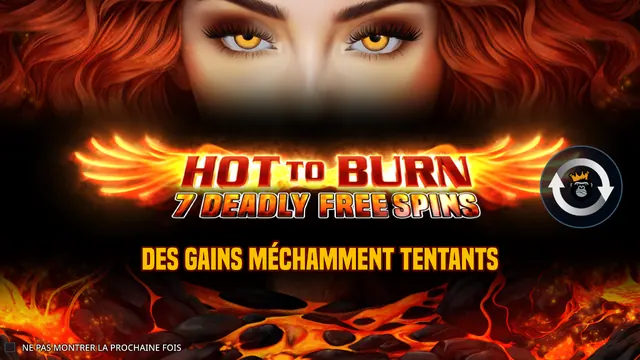 Hot to Burn - 7 Deadly Free Spins : écran de jeu n°2
