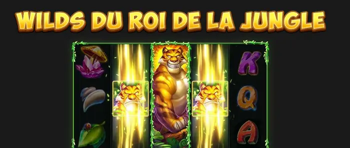 Illustration WILDS DU ROI DE LA JUNGLE de l’aide : un tigre souriant qui recouvre un rouleau entier, entouré de deux rouleaux lumineux portant chacun une tête de tigre