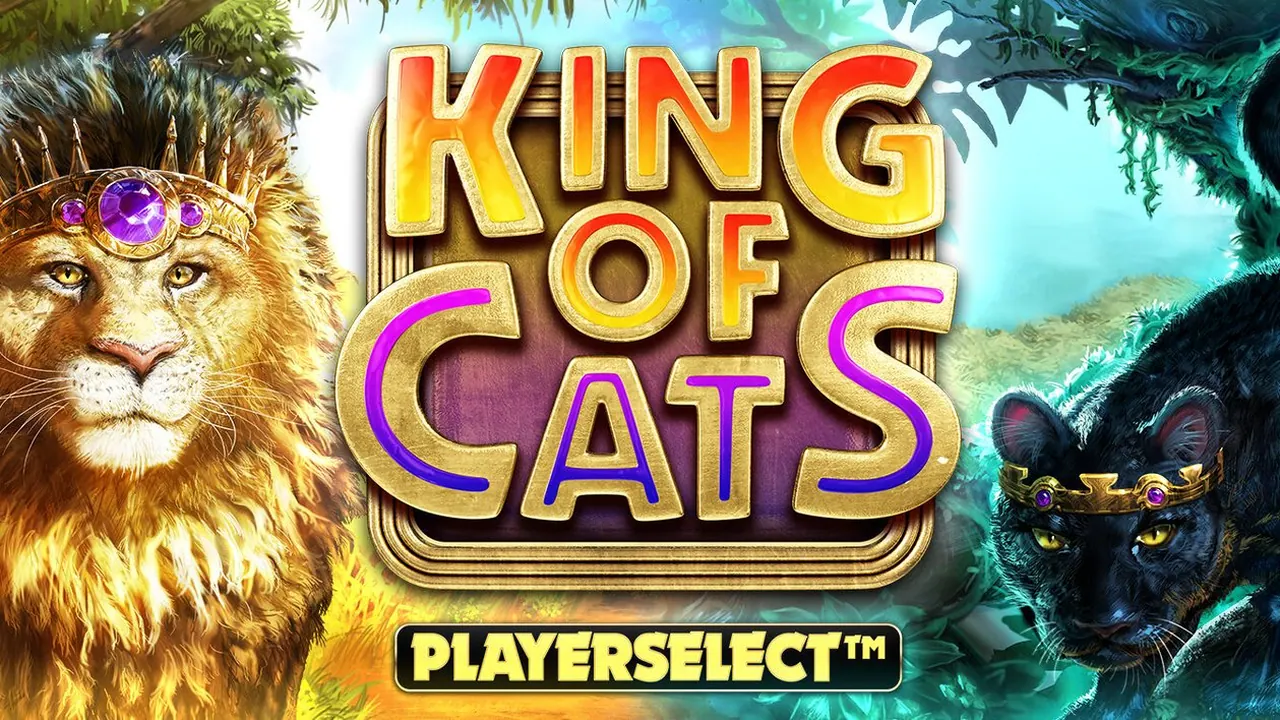 Visuel officiel de King Of Cats (Big Time Gaming)