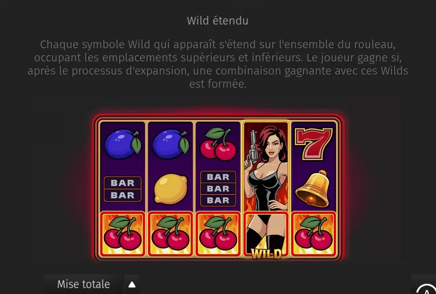 Page Paiements de Lady Lucky Gun sur le Wild étendu : le texte de la règle et une grille où une femme tenant un revolver couvre tout le 4e rouleau, au-dessus d’une rangée de cerises