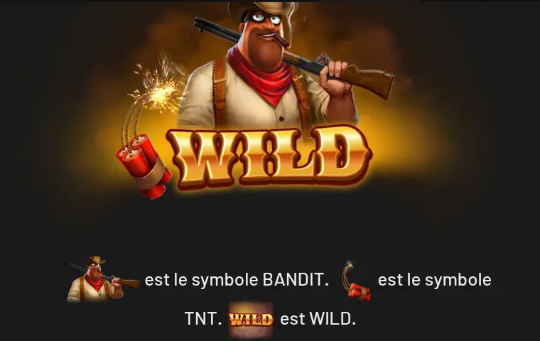 Page WILDS de l’aide de Take The Vault : un bandit masqué au fusil sur l’épaule au-dessus du mot WILD et d’un bâton de dynamite allumé, puis les symboles BANDIT, TNT et WILD