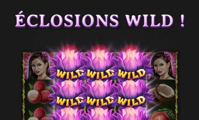 Illustration ÉCLOSIONS WILD ! de l’aide : une grille où des fleurs roses marquées WILD couvrent le centre, entre des portraits de femme, des fruits rouges et une noix de coco