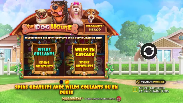The Dog House Megaways : écran de jeu n°2