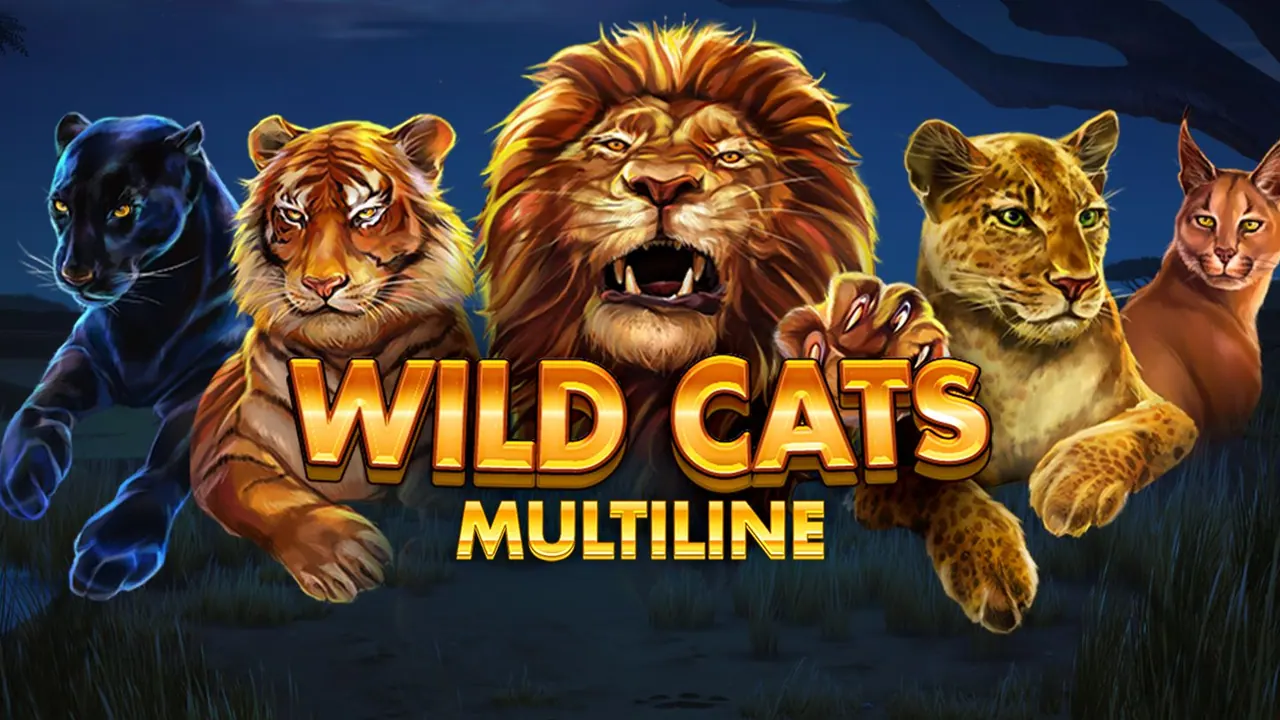 Visuel officiel de Wild Cats Multiline (Red Tiger)