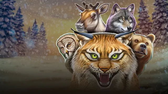 Wild North, machines à sous sorties en 2015