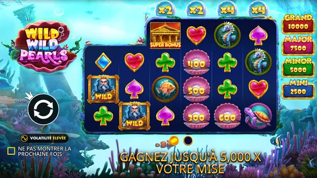 Wild Wild Pearls : écran de jeu n°2